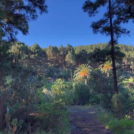 La Guancha Monte Frio De Tenerife מראה חיצוני תמונה