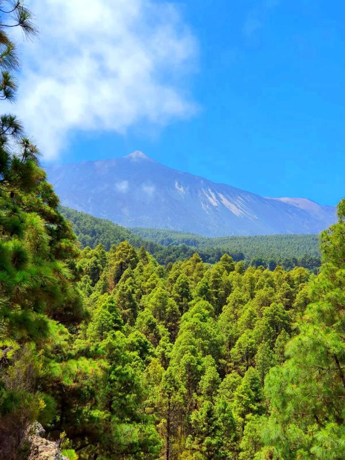 La Guancha Monte Frio De Tenerife מראה חיצוני תמונה