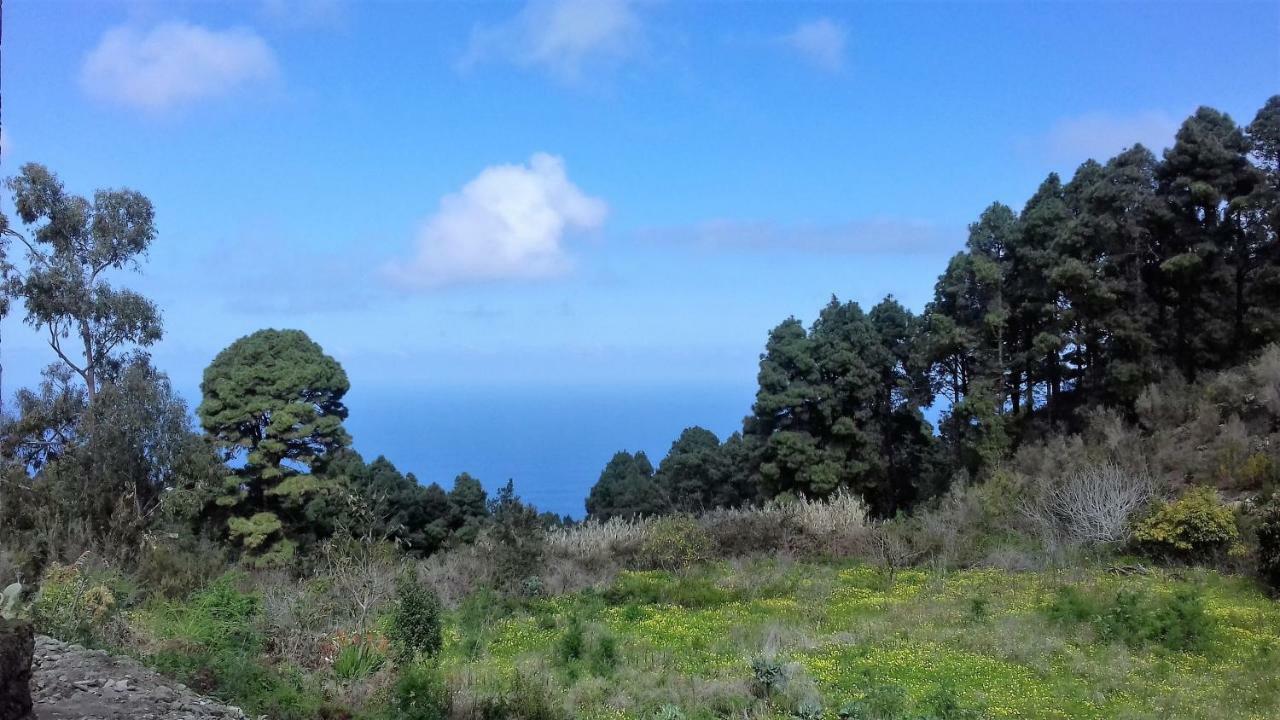 La Guancha Monte Frio De Tenerife מראה חיצוני תמונה